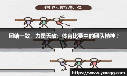 星空体育官网